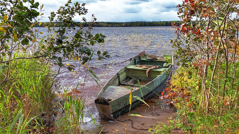 Photograph by Михаил Рассказ