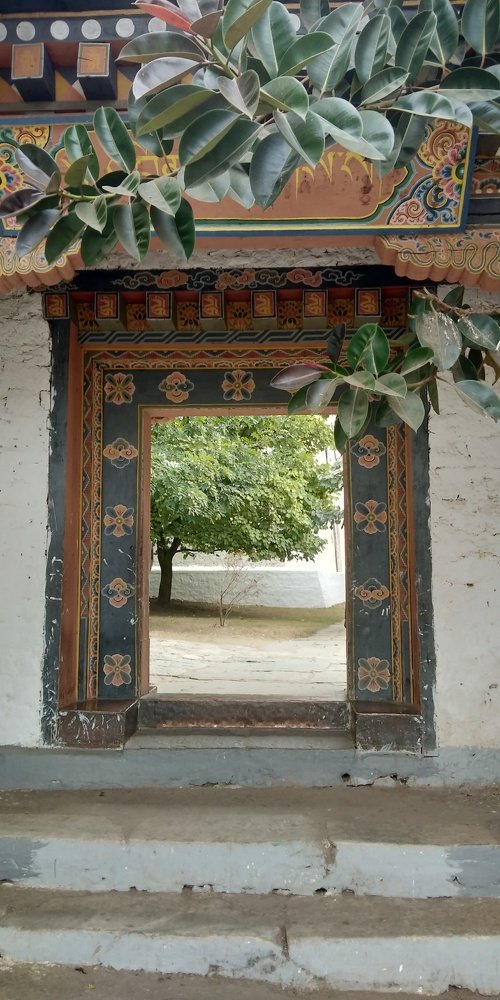 Photo #4409265
