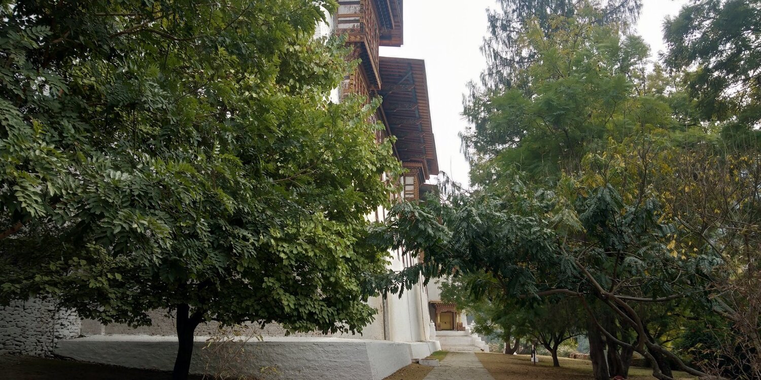 Photo #4409266