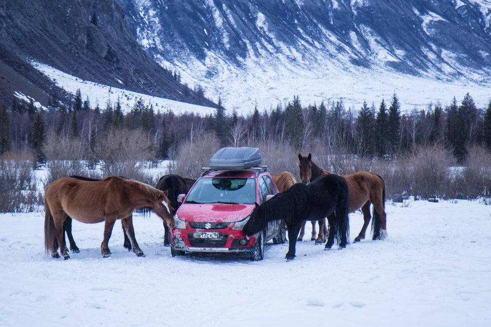 Photograph by Елена Гребенникова