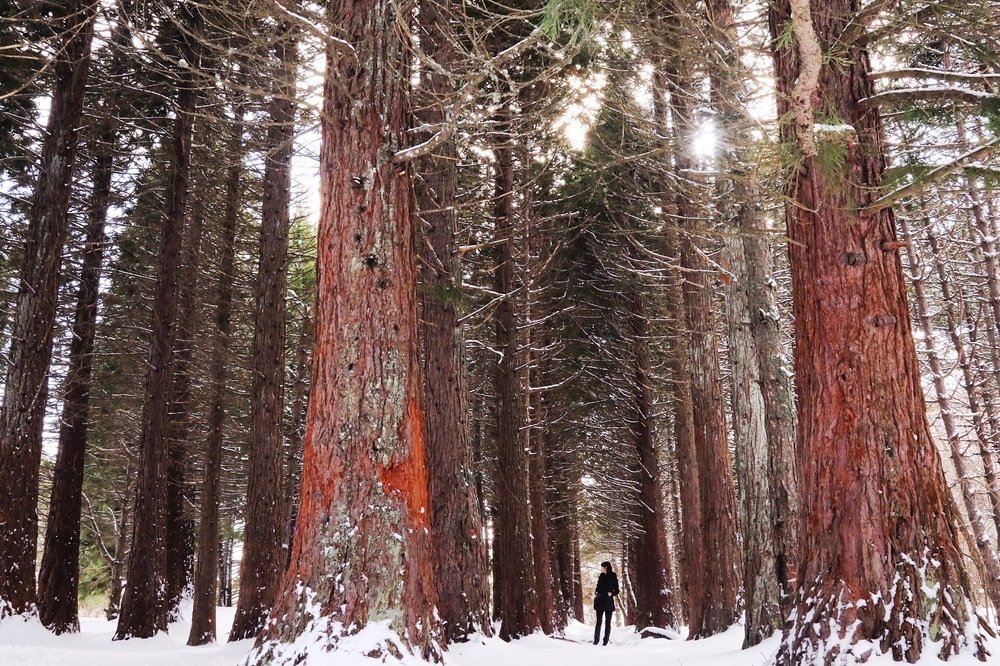 Photograph by Аметка Эдем