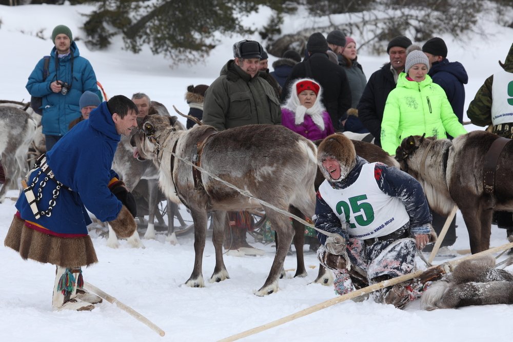 Олимпиада оленеводов