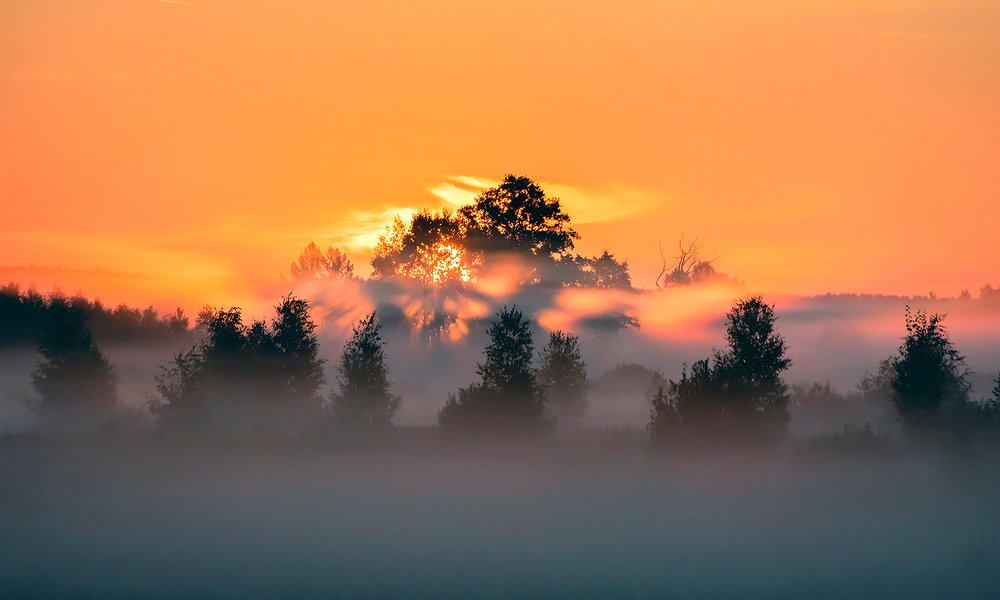 Pro лучи солнца, пронизывающие утро ...