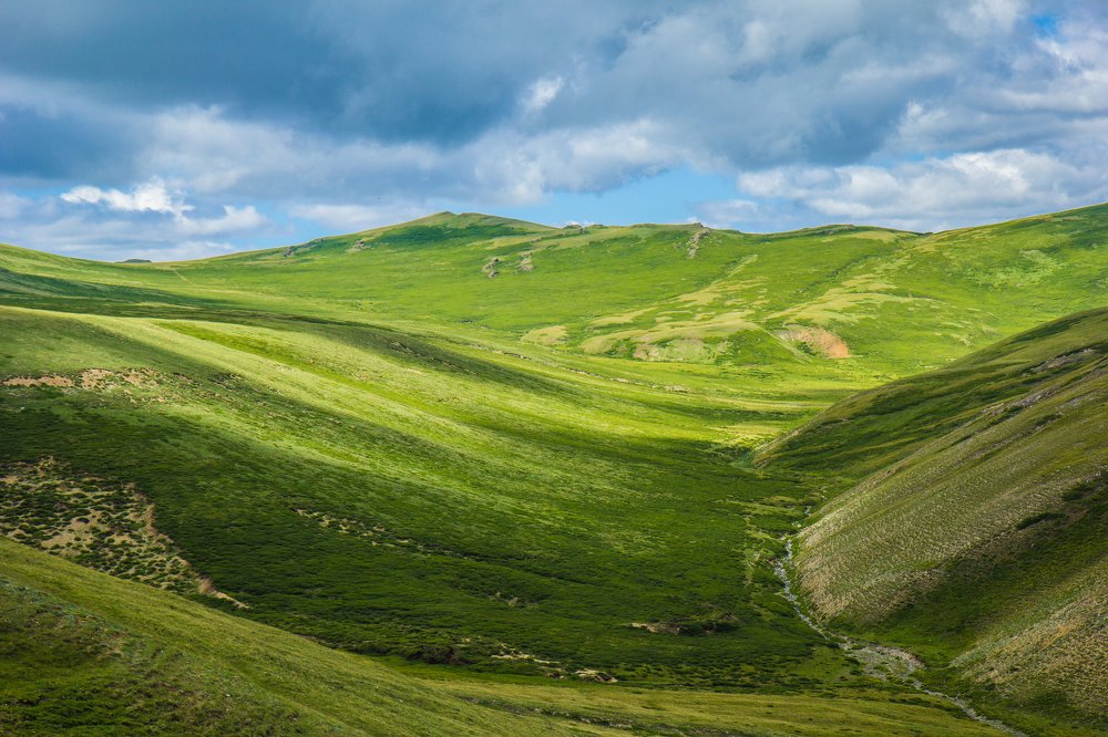 Photograph by Елена Гребенникова