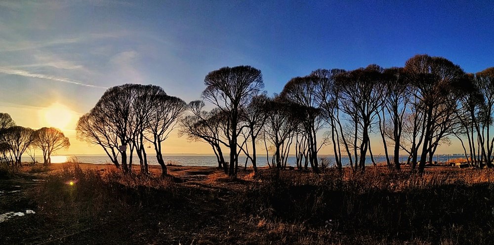 Photograph by Алла Куликова