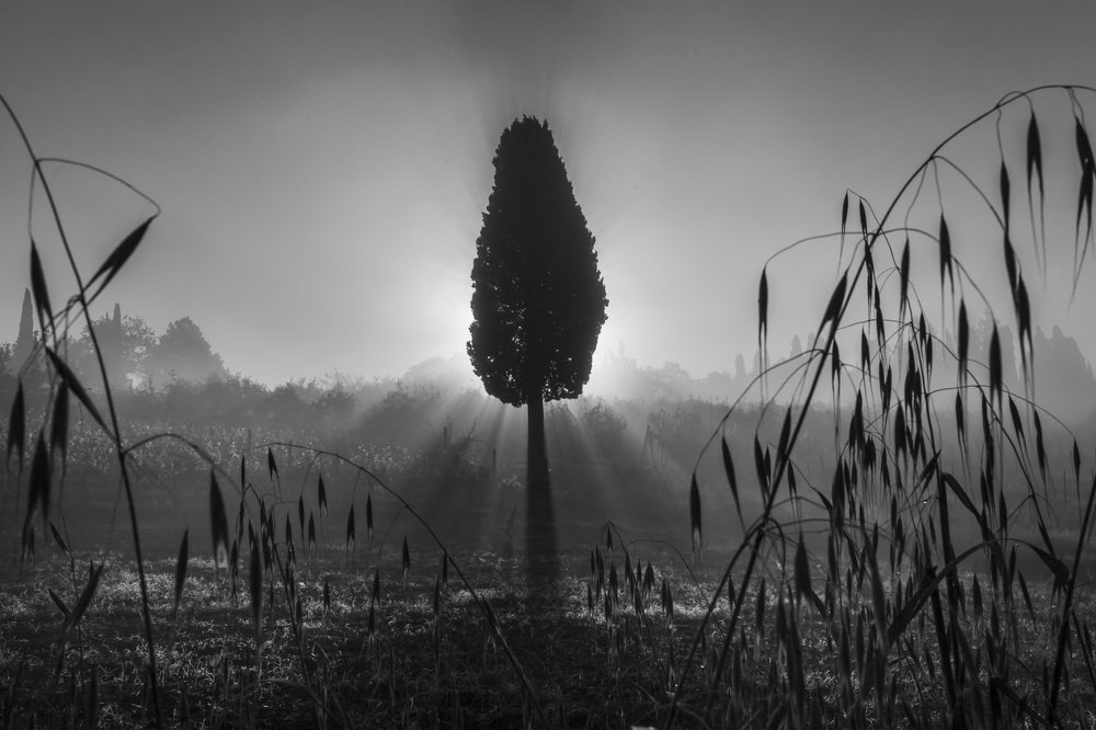 Photograph by TAISIA CHAIKA