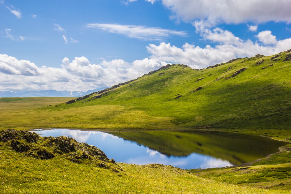 Photograph by Елена Гребенникова