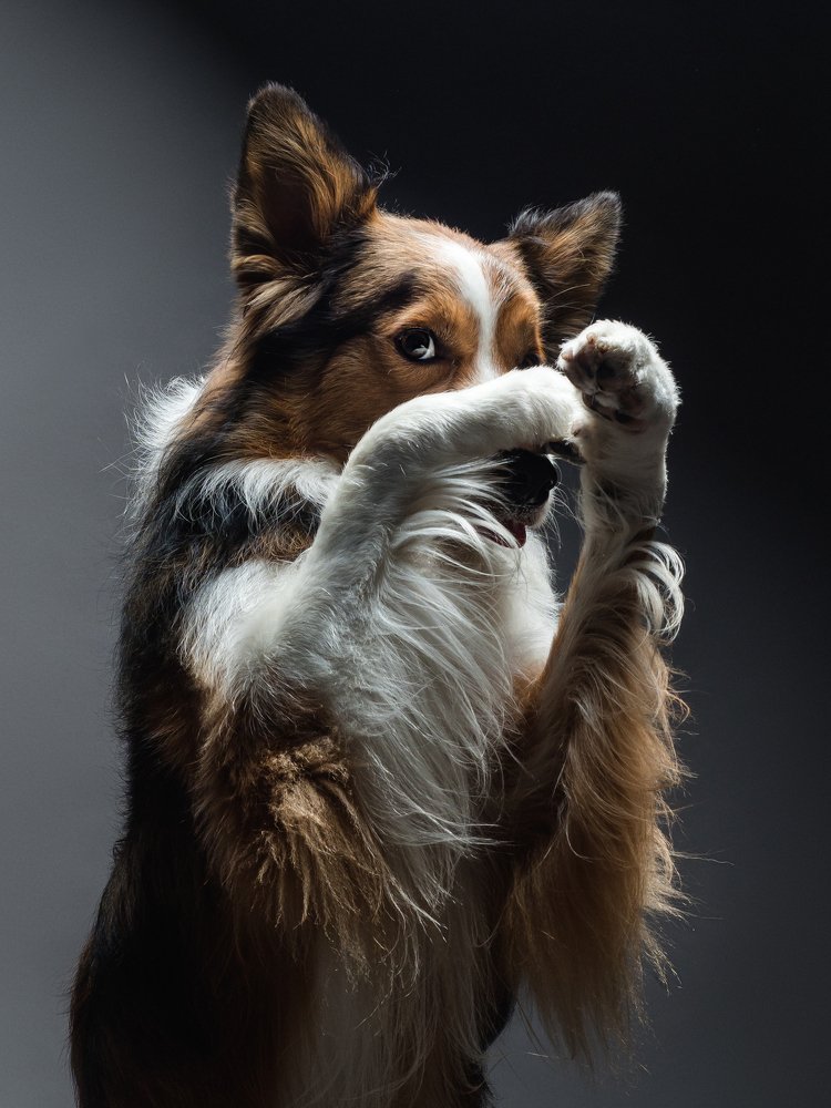 Photograph by Дарья Быстрицкая