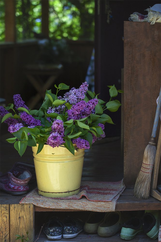 Дачные радости.