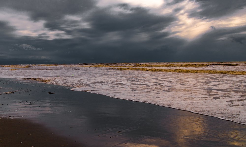 Photograph by Alex Kalpus