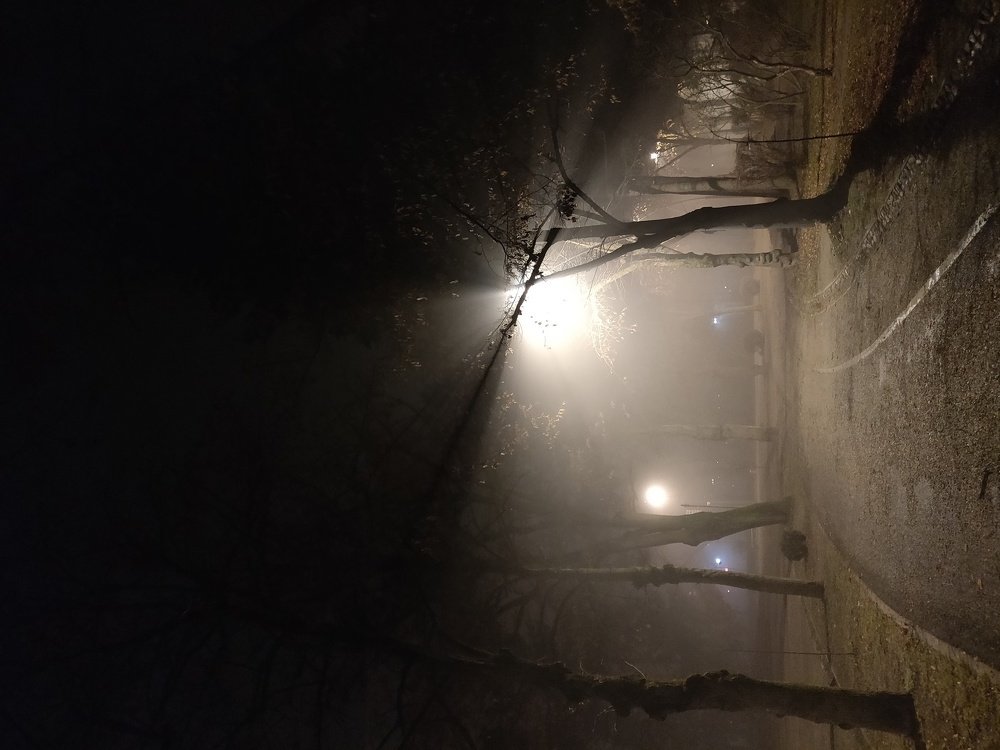 Photo #4409654