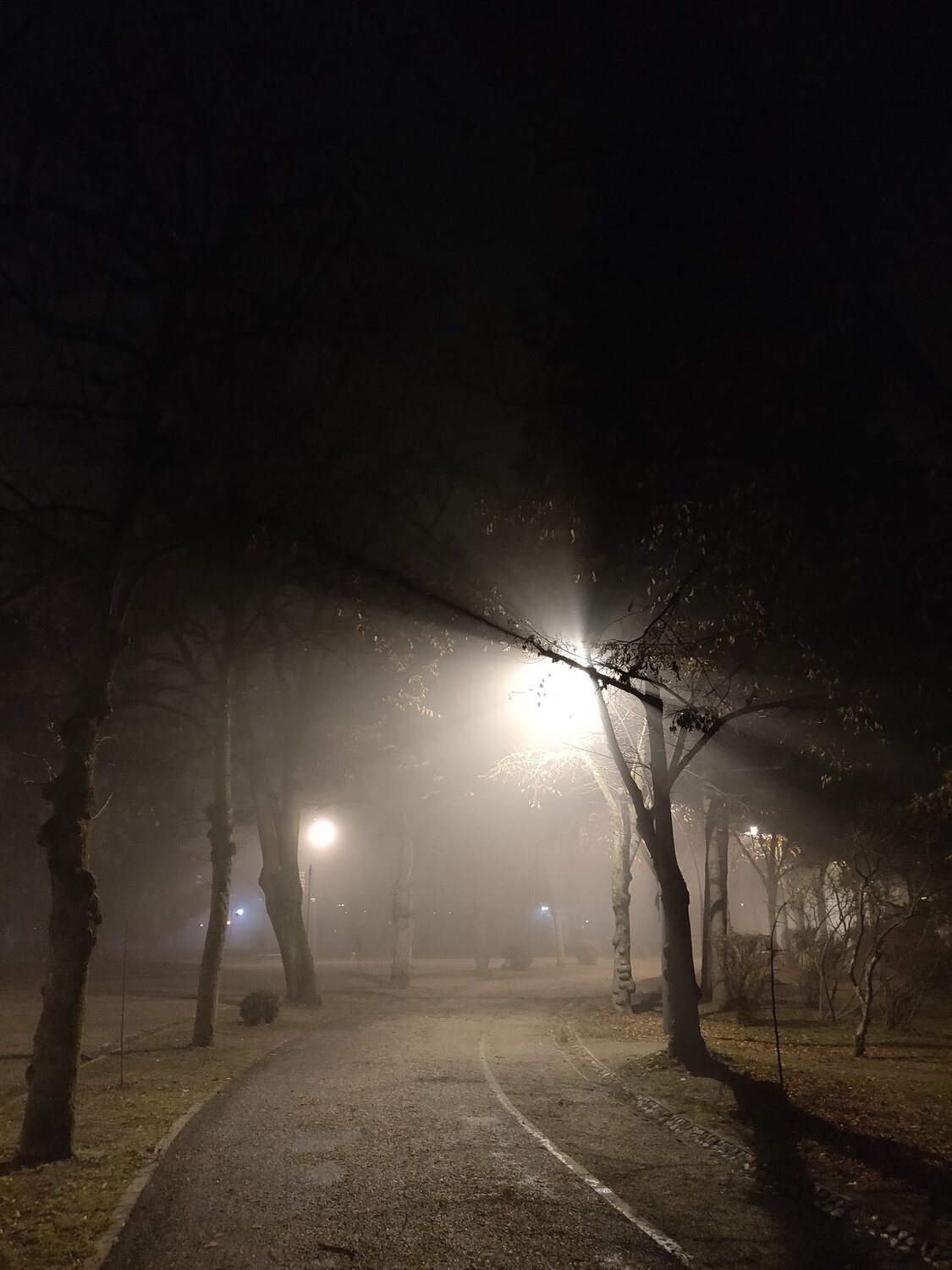 Photo #4409654