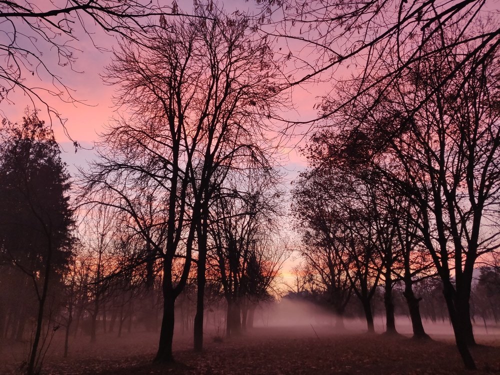 Photo #4409657