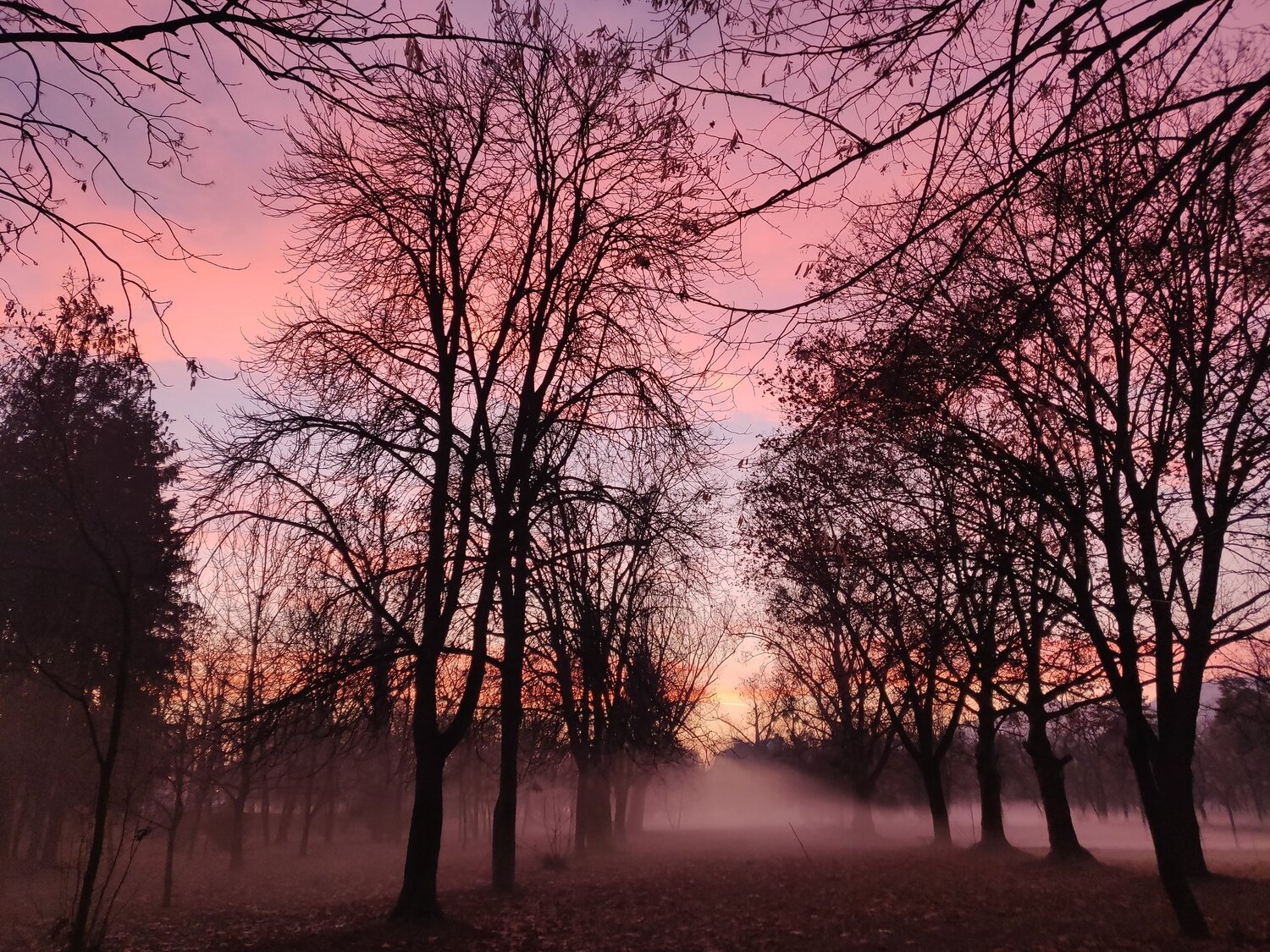 Photo #4409657
