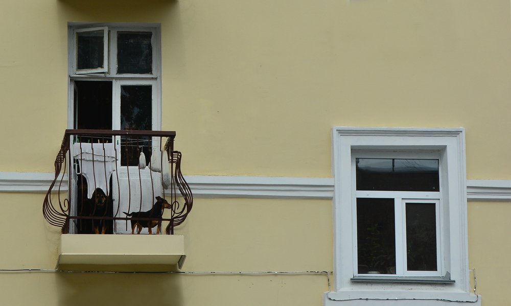 Photograph by Максим