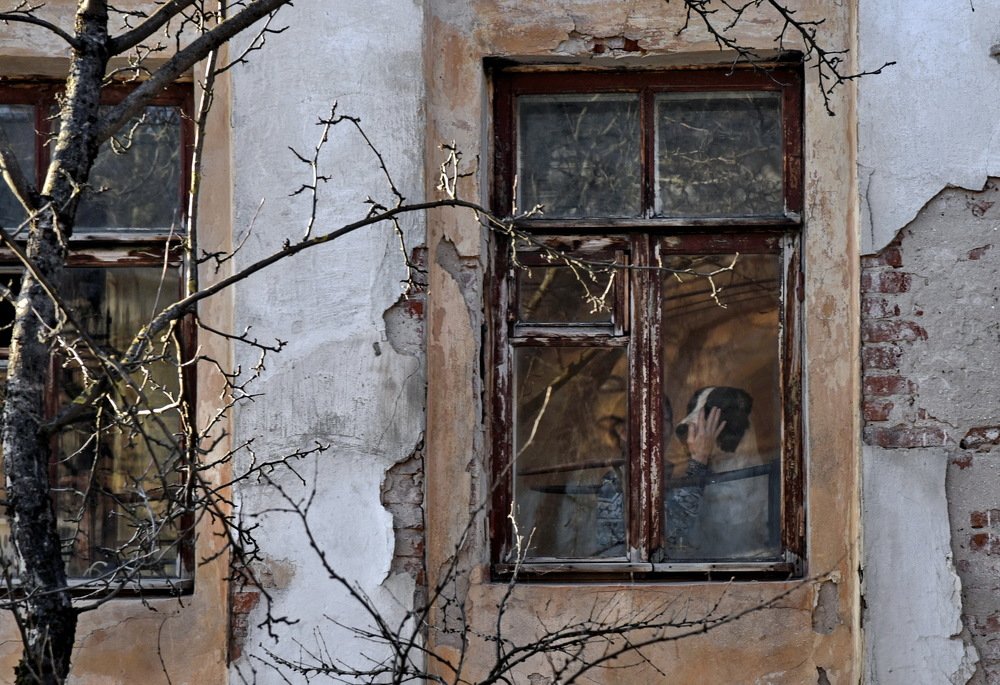 Весна,любовь и солнце.