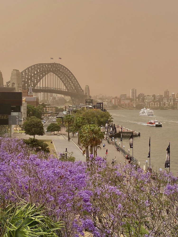 С ароматом дыма и джакаранды