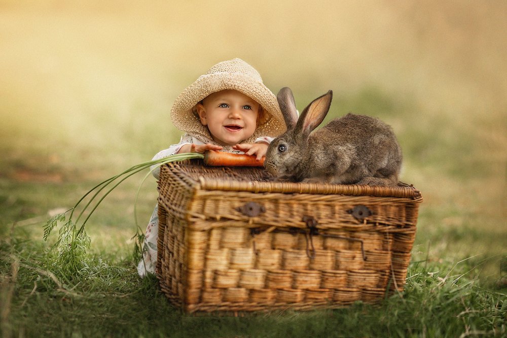 Фотография автора Елена Чернигина