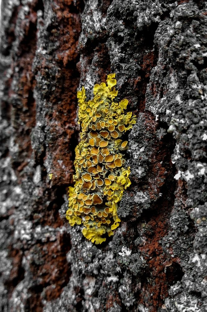 Photograph by Марина Шамич