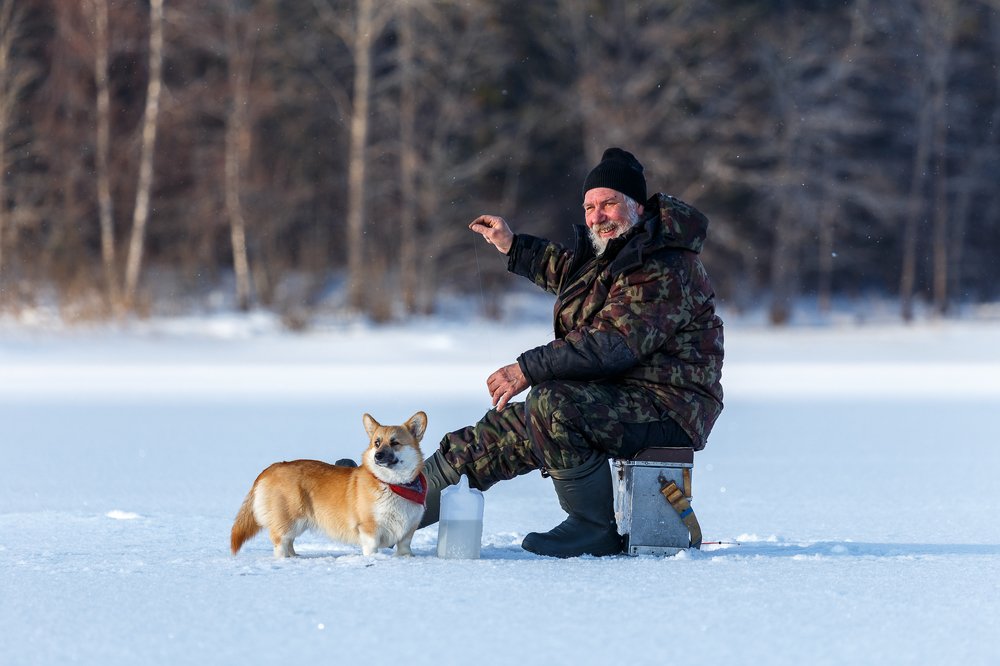 Фотография автора Татьяна Афиногенова