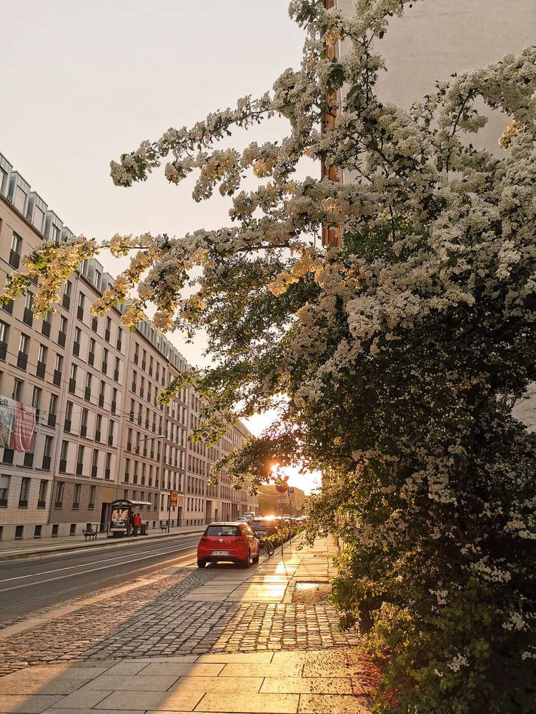 Photograph by Коваленко