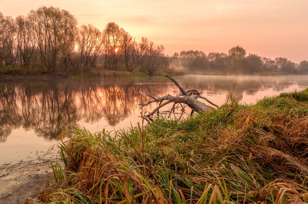 Photograph by Юлия Лаптева