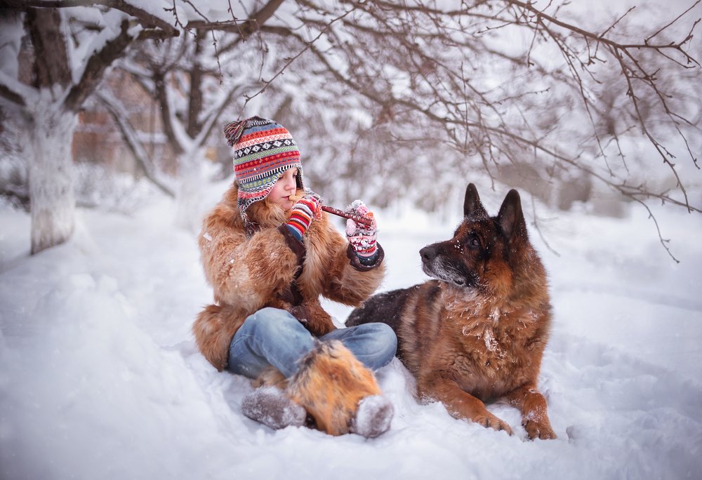 мы с тобой одной крови