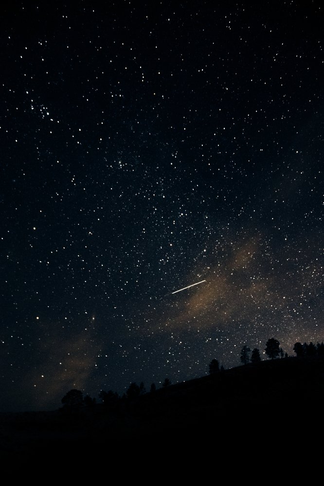 Photograph by Александр Чебунин