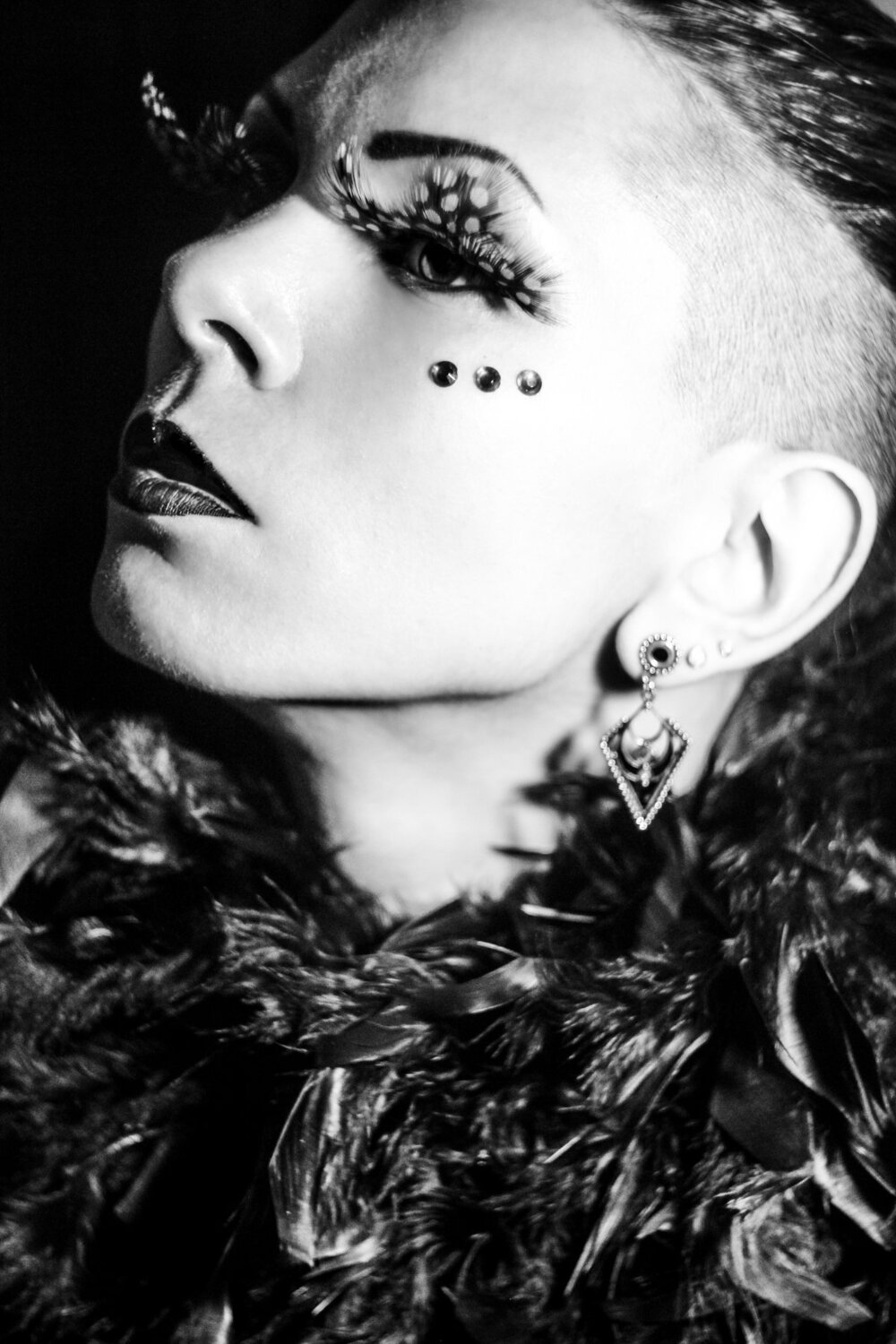 Photo #4410026