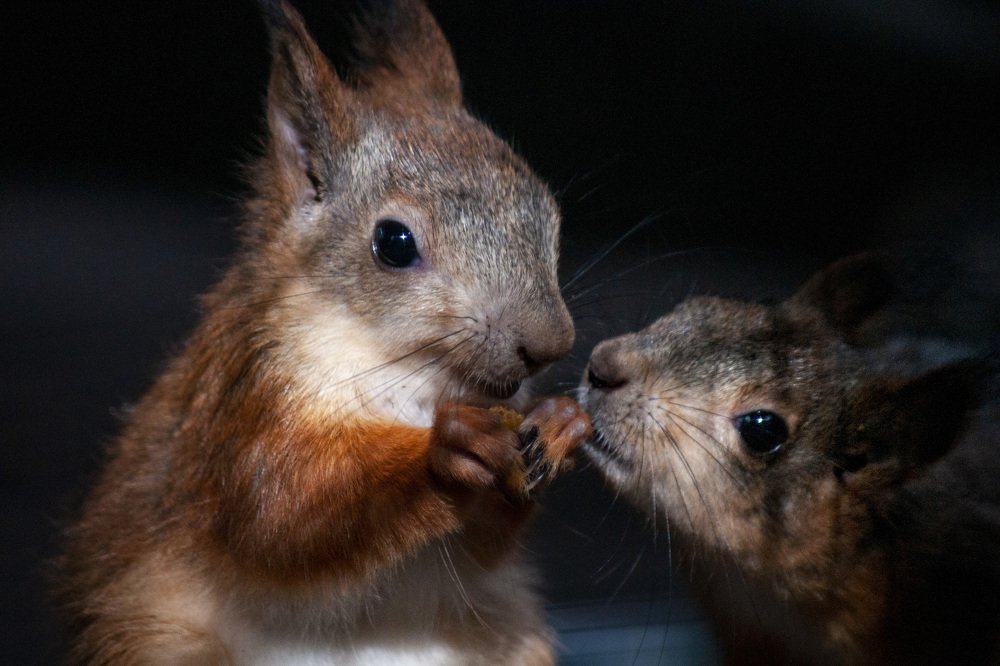 Photograph by Ольга Буракова