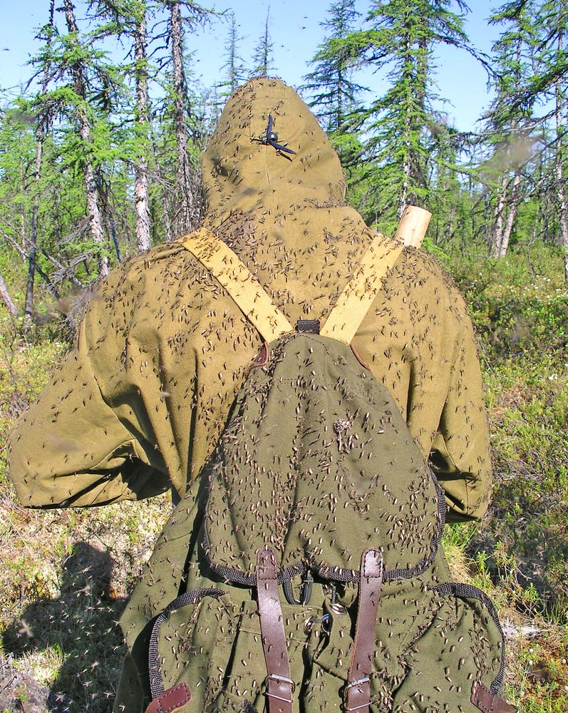 Photograph by tolik54