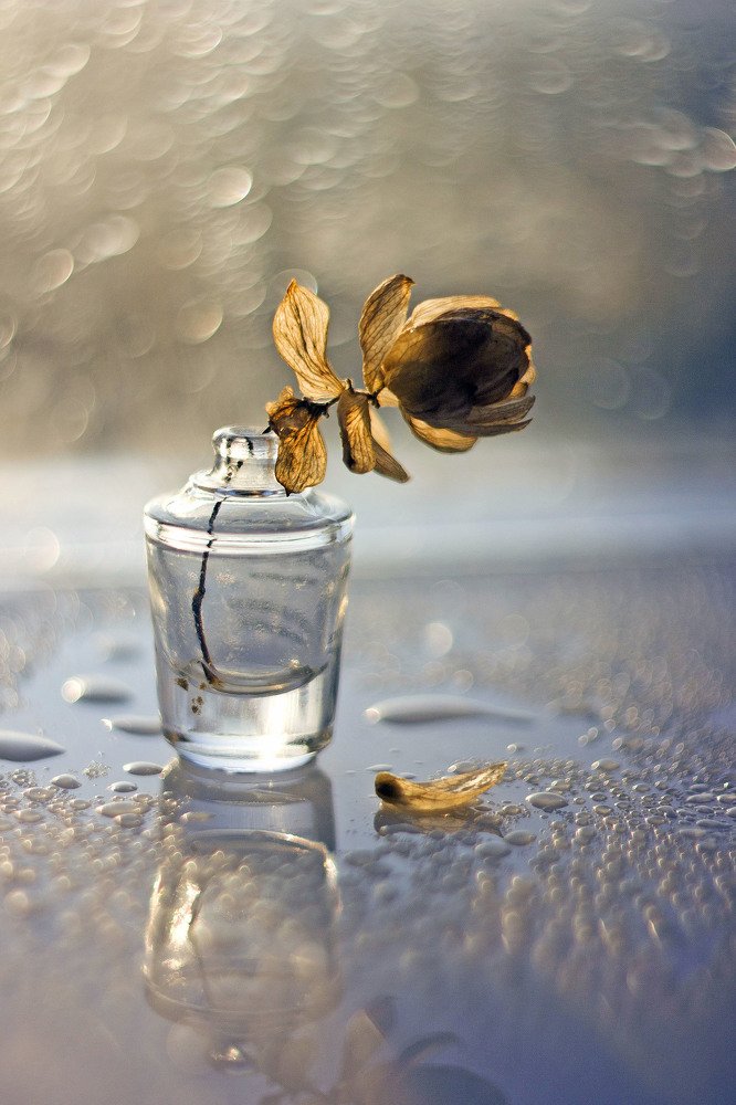 Photograph by Екатерина Топалова