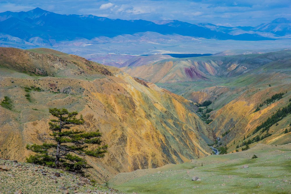 Photograph by Елена Гребенникова