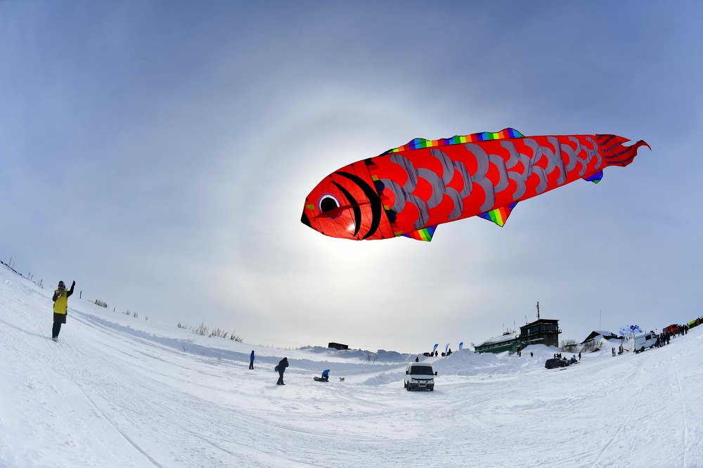 Летучая рыба