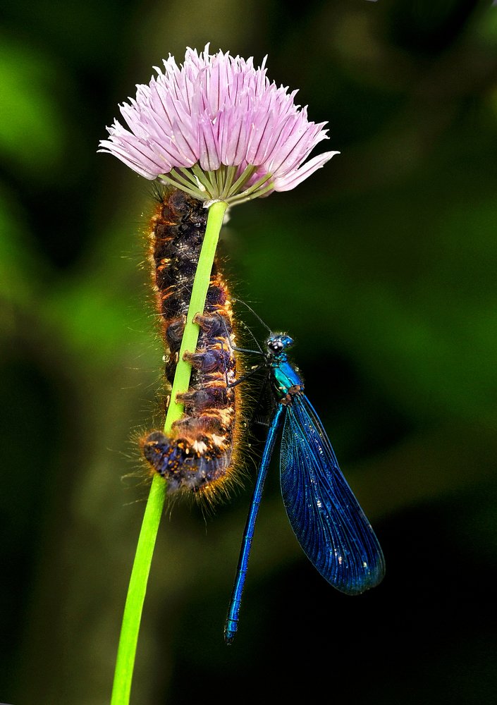 Фотография автора Александр Ракович
