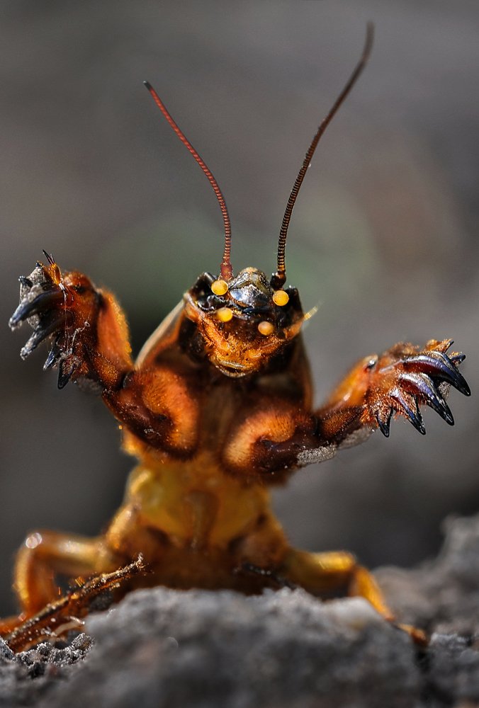 Фотография автора Александр Ракович