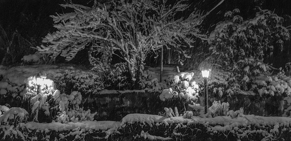 Photograph by H.S. Fatima