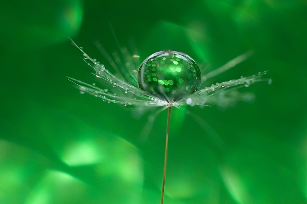 Photograph by Наталья Мищенко