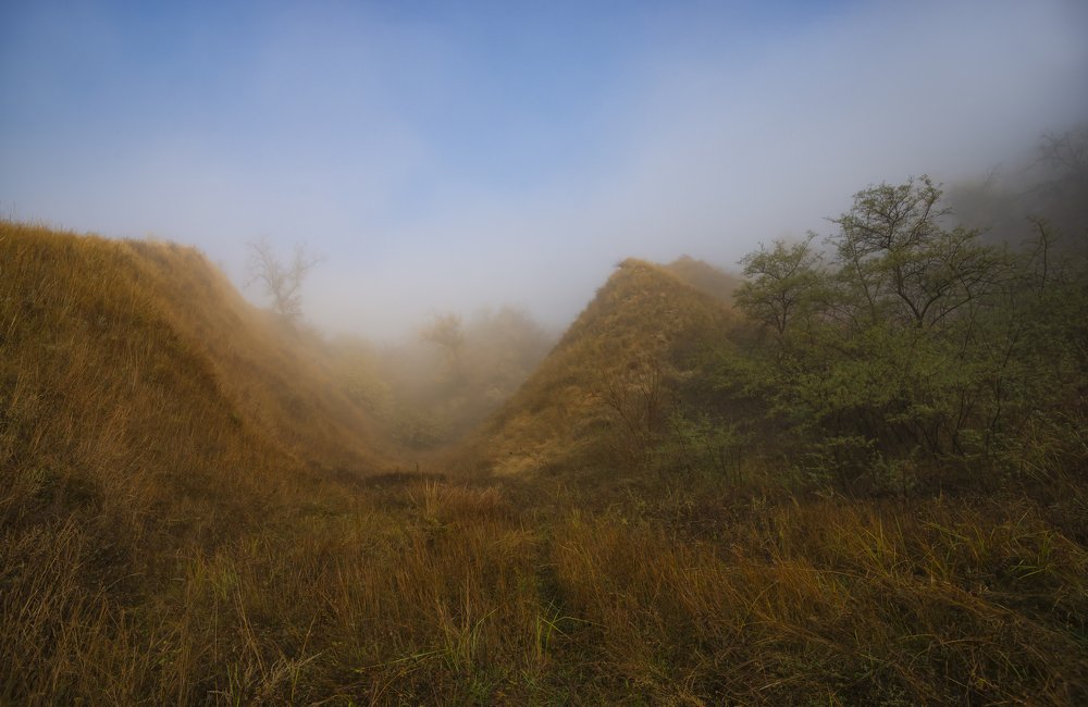 Photograph by Игорь