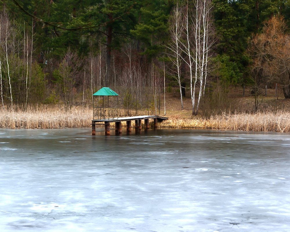 The shore of a frozen lake