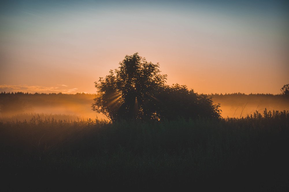 Photograph by Денис Кошкин