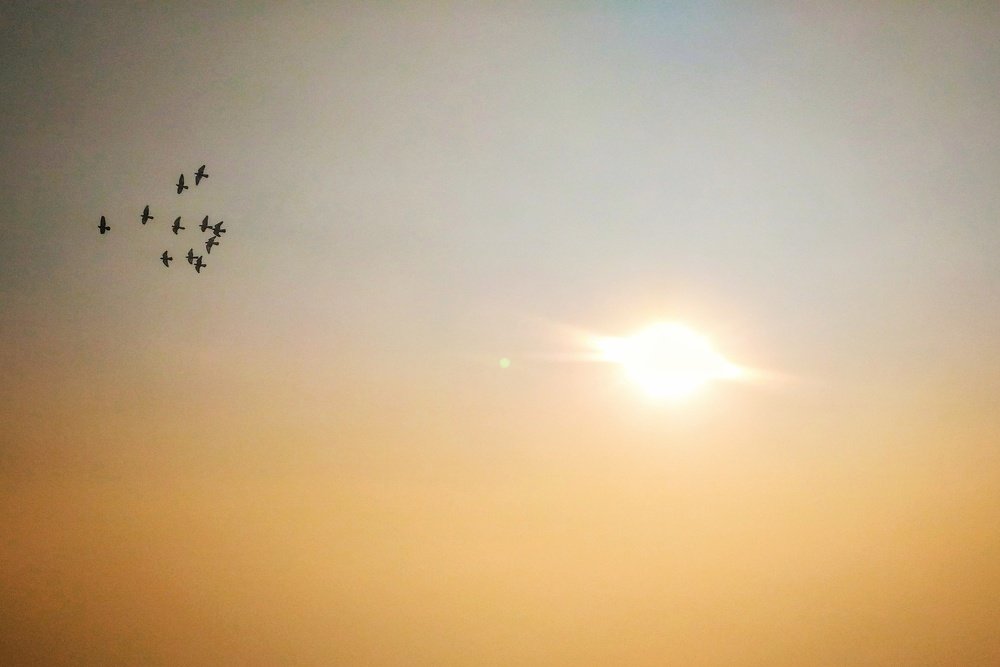 Photograph by zahra qazvini