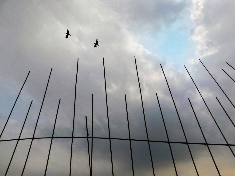 Photograph by Saha Jagannath