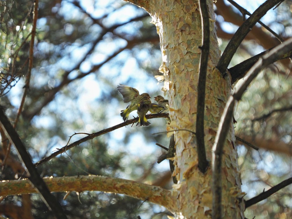 Photograph by Артем Харисов