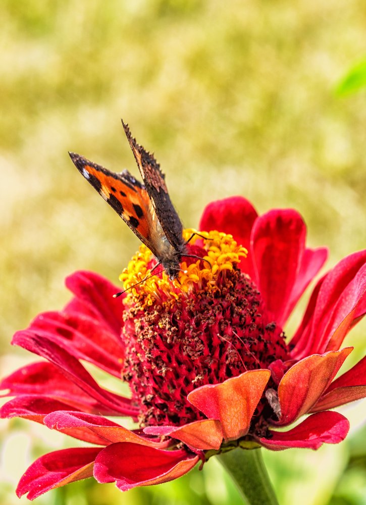 Photograph by Victor Pruhnitskiiy