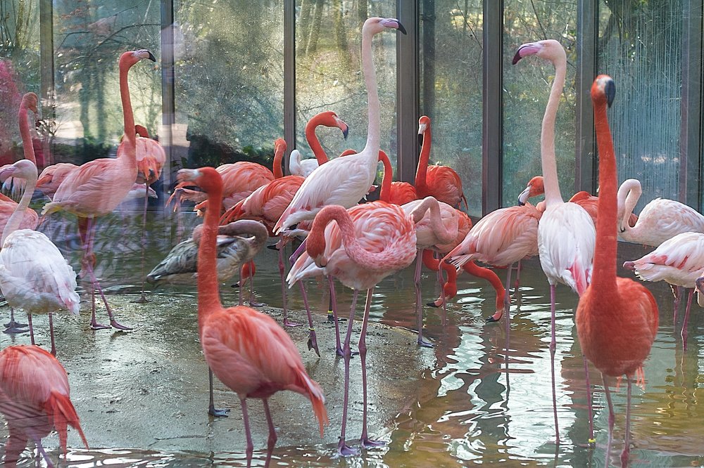 Фотография автора Marina Motey