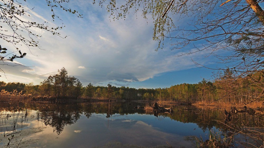 Фотография автора Александр Петаев