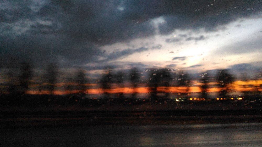 Photograph by zahra qazvini