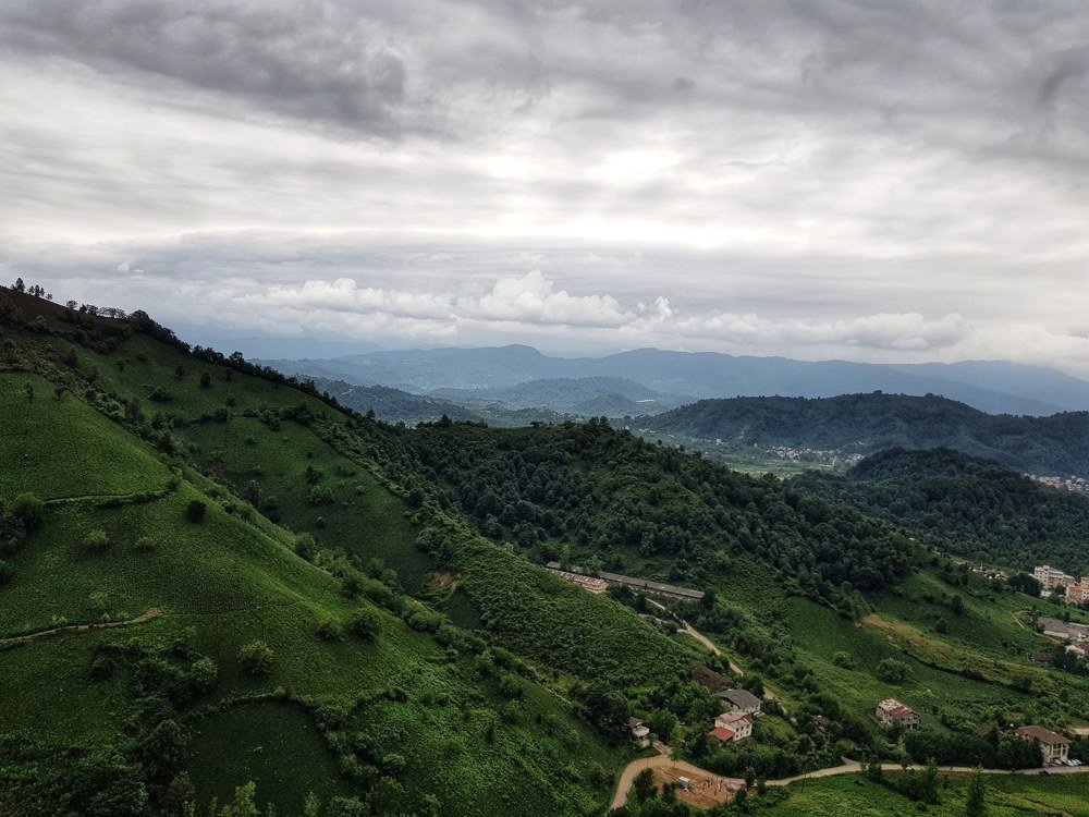 Photograph by zahra qazvini