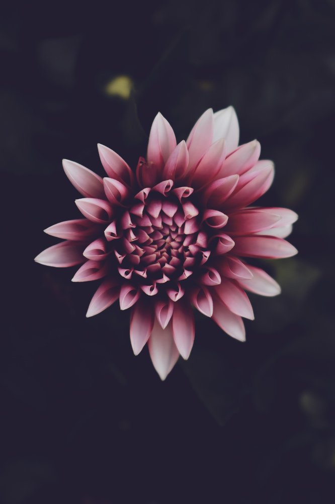 Photograph by Amra Kunduklija